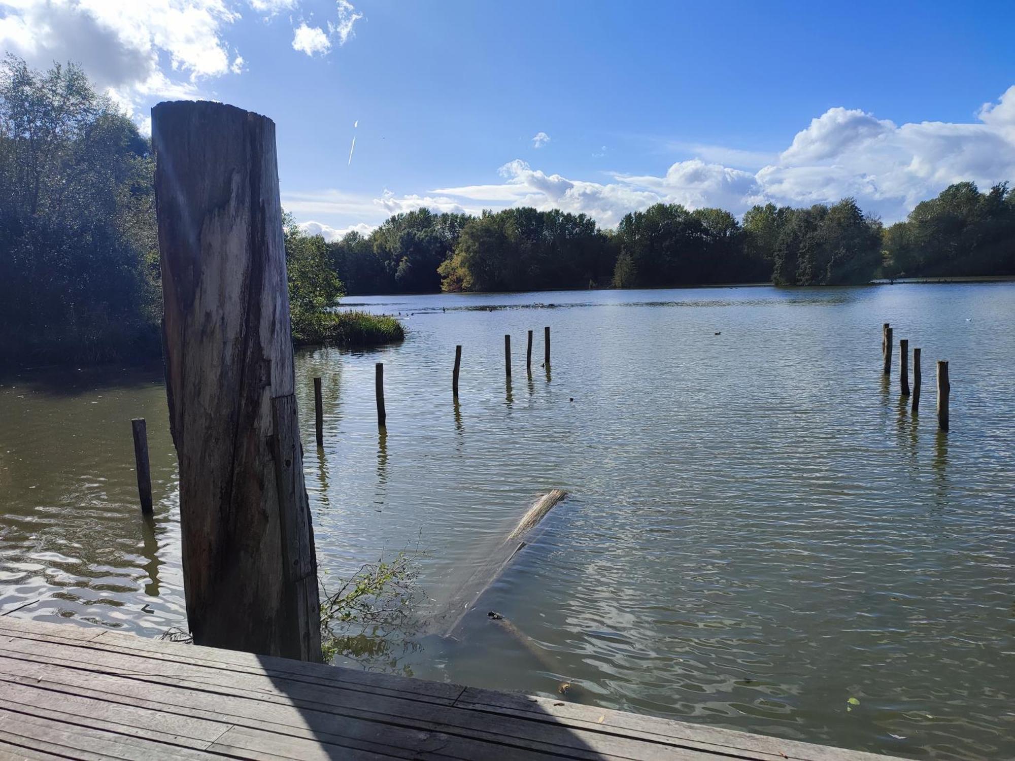 Holiday home La Lavandiere *